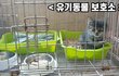 반려동물 강아지 고양이 입양하세요. '입양비 안받습니다.'