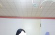 얘들아 나 머리 짱 길당
