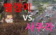 [정치내전023] 빨갱이 VS 사쿠라 누가 더 쎌까?