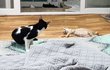 [고니태양]형아바라기 태양이 ~~