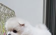 오늘의 톡