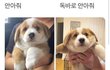 와 왕따가해자가 설리추모하는거보니까 토쏠려