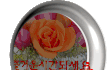 까꿍