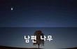 남편 나무~