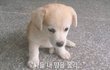 근데 프로필 뮤직에 의미부여 하는거