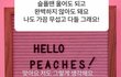 설리 자기 팬한테 답장해줬던거 슬프다
