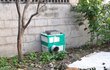 시골 고향집 길냥이들