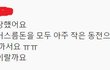 한국남자 유럽에서 개돼지보다 인기없음