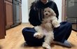 쓰담쓰담 쓰다듬으면 스르륵 녹는 아기 강아지
