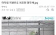 마약법 위반으로 체포된 앵무새