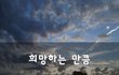 희망하는 만큼~
