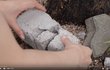 개 쓸때없는 수리력 ㅋㅋㅋ