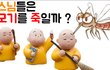 스님들은 모기를 잡을까?