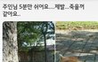 전여친 프사 이건데 미련있는걸까