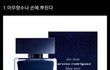 길고양이 재밌게 놀아주는법