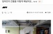 공포의 세입자.jpg