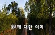 親에 대한 의미~