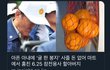 6.25 참전용사가 도둑질 하심...