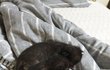 오늘의 톡
