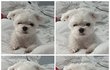 오늘의 톡