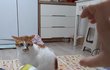 오늘의 톡