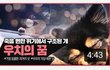 차에 치일뻔한 1살 포메라니안 구조