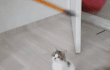 오늘의 톡