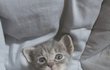 오늘의 톡