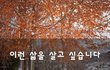 이런 삶을 살고 싶습니다~