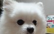 오늘의 톡