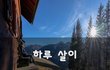 하루 살이~