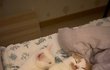 오늘의 톡