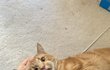 오늘의 톡