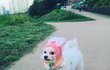 우리집 영감님