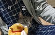 오늘의 톡