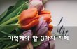 기억해야 할 3가지 지혜~