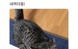 나 내일 알바 면접가는데 머리상태