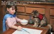 5살 자폐소녀를 사랑한 냥이