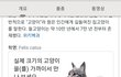 고양이 검색하니까zzzz
