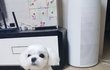 오늘의 톡