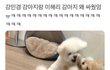 다비치 불화설 뜸