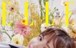 블랙핑크 블핑 리사 지수 로제 제니