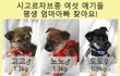 산속에서 구조된 꼬맹이들