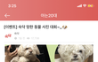 커뮤니티에서 한 망한 동물 사진 대회ㅋㅋㅋㅋㅋㅋㅋㅋㅋㅋㅋ