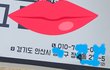 애견장례식 문제점.애들 보내실분 참고하세요