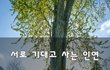 서로 기대고 사는 인연~