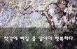 착각에 빠질 줄 알아야 행복하다~