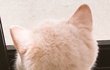뒤통슈ㅠㅠㅠㅠㅠㅠㅠㅠㅠㅍ하앟아아