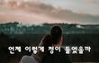 언제 이렇게 정이 들었을까~