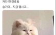 학력으로 차별하는 거 어떻게 생각해?